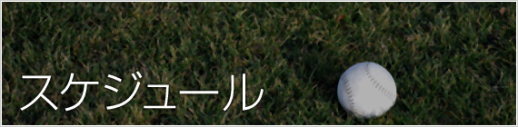 スケジュール