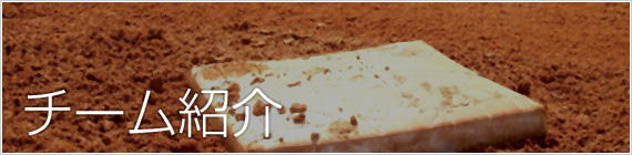 チーム紹介